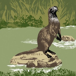 https://illustrations.oliviercharpentier.com:443/files/gimgs/th-30_TBDEF LOUTRE_v2.jpg